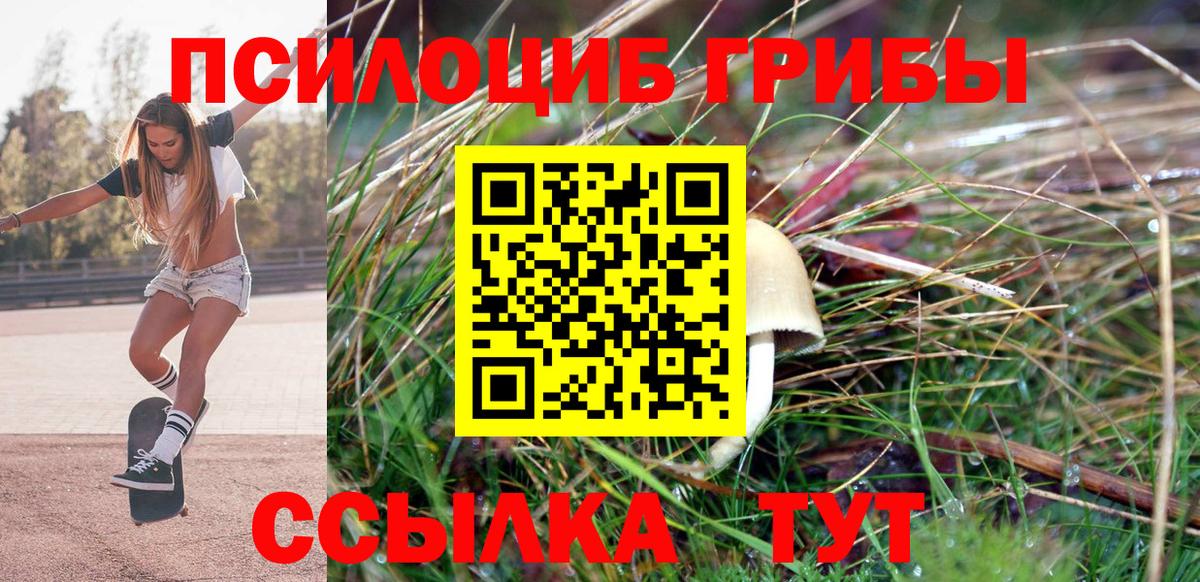 Псилоцибиновые грибы ЛСД Борисоглебск
